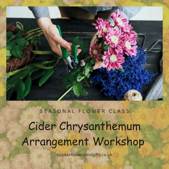 Cider Chrysanthemum Flower Arrangement Workshop - Learn How to Arrange Seasonal Flowers